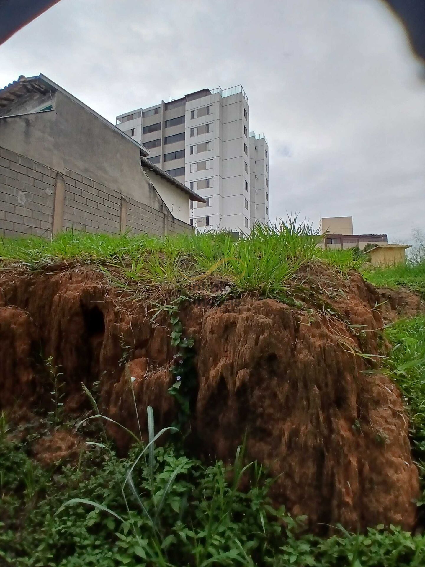 Sem Imagem